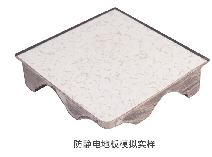防靜電地板模擬實樣.jpg